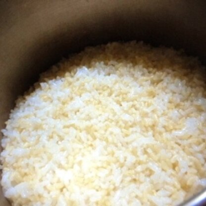 圧力鍋から失礼します＾＾；
本日は玄米入りで❤❤
玄米も美味しい～♪( ´θ｀)ノ♪( ´θ｀)ノ♪( ´θ｀)ノ